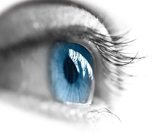 Study shows eye scans may provide clues to ageing, heart disease risk