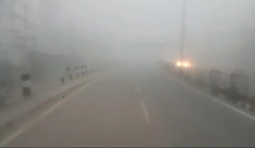 Heavy fog blankets Delhi-NCR; air quality remains in 'severe' category